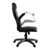 Kép 3/4 - Racing Opus gaming szék fekete-szürke (BGEU-A135) 1