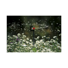 Kép 2/2 - Gardena MD forgó permetező esőztető 360° (2 db)