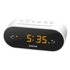 SRC1100W