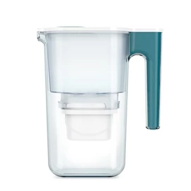 PP1006